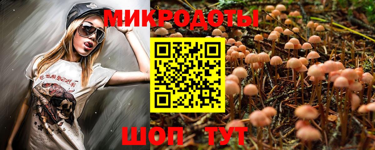 Ивантеевка  Псилоцибиновые грибы Psilocybine cubensis  Вход с VPN 
